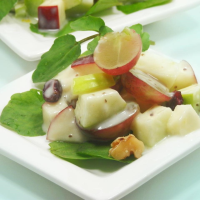 Waldorf Salad with Yogurt Recipe | Allrecipes image