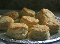 BISCUITS WITH SOUR CREAM RECIPES