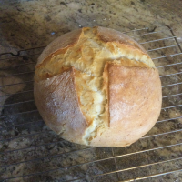 Crusty Dutch Oven Bread | Allrecipes image