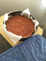 BUNNY RABBIT CAKE PAN RECIPES