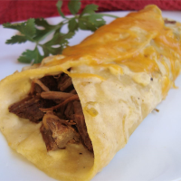 Shredded Beef Enchiladas Recipe | Allrecipes image