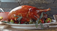 Roasted Heritage Turkey Recipe | Martha Stewart image