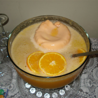 CHAMPAGNE PUNCH WITH SHERBET RECIPES