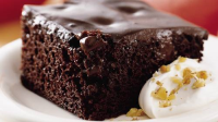 Chocolate Pudding Poke Cake Recipe - BettyCrocker.com image