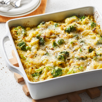 SQUASH CASSEROLE WITHOUT CHEESE RECIPES