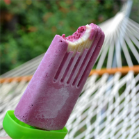 Fresh Fruit and Yogurt Ice Pops | Allrecipes image