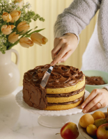 Better Boxed Yellow Cake with Chocolate Frosting Recipe ... image