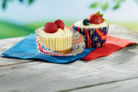 JELL-O No-Bake Mini Cheesecakes - My Food and F… image