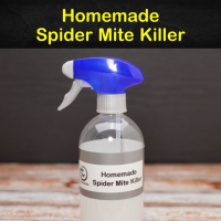 Homemade Spider Mite Killer - Tips Bulletin image