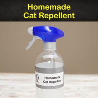 14 Natural Cat Repellent Recipes Anyone Can Make image