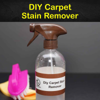 5 Homemade Carpet Stain Remover Recipes - Tips Bulletin image