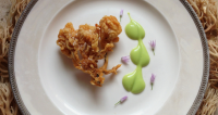 recipe for crispy fried coral mushrooms with chive aioli image