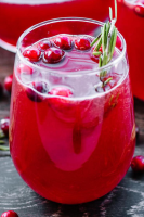 Alcoholic Drinks – BEST Cranberry Holiday Punch Recipe ... image