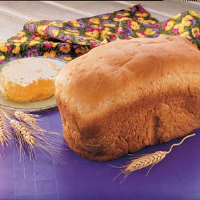 Bread Machine Wheat Bread Recipe: How to Make It image