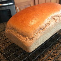 Honey Whole Wheat Bread Recipe | Allrecipes image