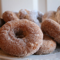 DONUTS MADE WITH BISCUITS RECIPES
