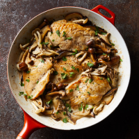 Creamy Chicken & Mushrooms Recipe | EatingWell image