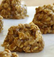 OATMEAL COOKIES NO BUTTER RECIPES