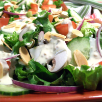 Creamy Garlic Salad Dressing Recipe | Allrecipes image