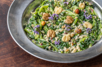 Wild Greens with Walnut Sauce - Forager Chef image