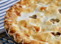 CHICKEN PIE WITHOUT VEGETABLES RECIPES