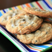 CHOCOLATE CHIP MUFFIN COOKIES RECIPES