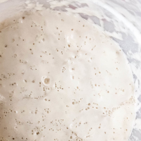 How To Make Sourdough Starter – Breadtopia image