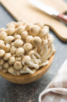 WHEN TO PICK MUSHROOMS RECIPES