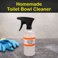 5 Excellent Homemade Toilet Bowl Cleaner Recipes image