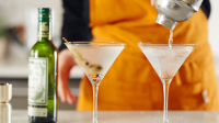 DOUBLE DIRTY MARTINI RECIPES