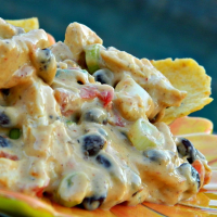 Outrageous Warm Chicken Nacho Dip Recipe | Allrecipes image