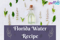How to make Florida Water: Traditional Recipe and Uses ... image