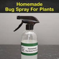 16 Do-It-Yourself Bug Spray Recipes for Plants image