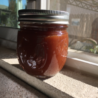 APPLE BUTTER CANNING RECIPE RECIPES