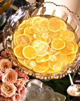 SOUTHERN COMFORT PUNCH RECIPES RECIPES