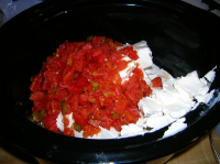 ROTEL DIP WITH CREAM CHEESE RECIPES