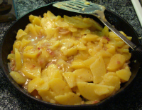 German Potato Salad Recipe - Food.com image