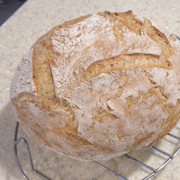 Dutch Oven Whole Wheat Bread Recipe | Allrecipes image