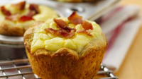 BACON EGG AND CHEESE BISCUIT CUPS RECIPES