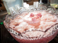 GINGER ALE AND SHERBET PUNCH RECIPE RECIPES