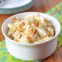 SWEET AND SOUR COLE SLAW RECIPE RECIPES
