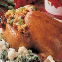 CORNISH GAME HEN SIDE DISHES RECIPES