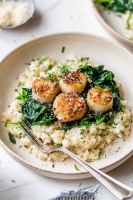 SCALLOPS AND SPINACH RECIPES