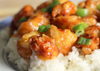 WHAT GOES WITH ORANGE CHICKEN RECIPES