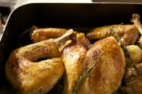Fastest Roast Turkey Recipe - NYT Cooking image