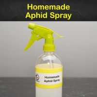 Controlling Aphids: 8 Homemade Aphid Spray Recipes and Tips image