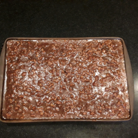 Old Southern Chocolate Pecan Sheet Cake Recipe | Allrecipes image