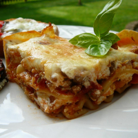 LASAGNA WITH COTTAGE CHEESE AND SOUR CREAM RECIPES