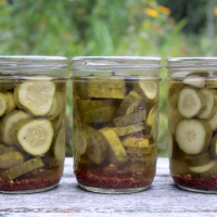 Dill Pickle Recipe for Canning - Practical Self Reliance image