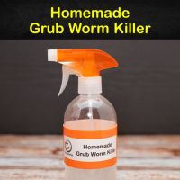 Killing Grub Worms Naturally - 10 Homemade Grub Worm ... image